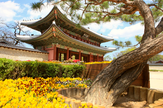 Chi phí du học Thụy Điển